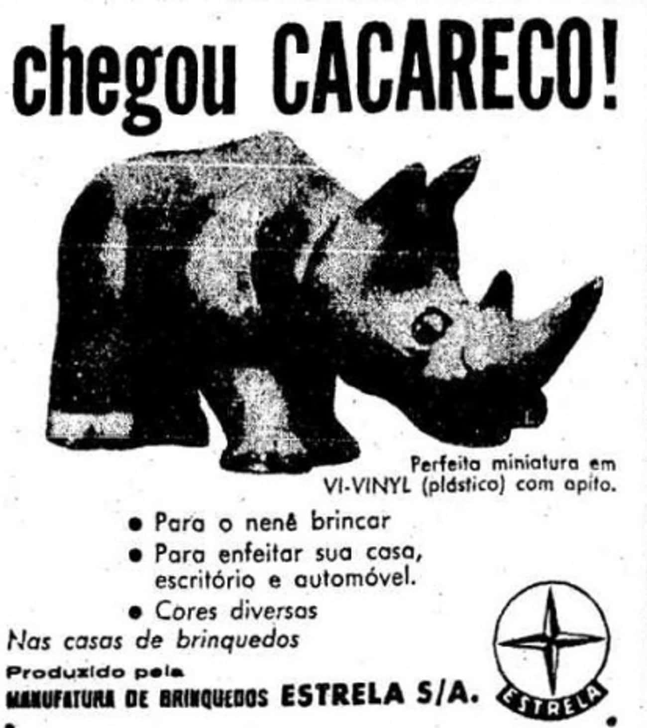 Brazilians Elected a Rhino to Sao Paolo City Council