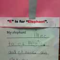Don't Let This Elephant Near Your Crotch on Random Funny Spelling Mistakes by Kids Who Don't Know Better