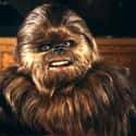 Lumpy, Chewbacca's Son on Random Star Wars Characters Deserve Spinoff Movies