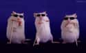 3 Blind Mice on Random Greatest Mouse Characters