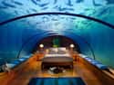 A Below the Surface Getaway on Random Themed Hotel Rooms That Movie Nerds Will Love