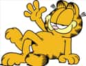 Gmail.com Was Originally a Free Service for Garfield Fans on Random Gmail Facts & Tricks That'll Change Everything