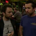 The Shirt Professing Mac's Love Of Government on Random All of Mac's Best T-Shirts from Always Sunny