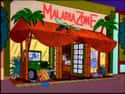 Malaria Zone on Random Funniest Business Names On 'The Simpsons'