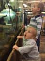 Baby's First Gigantic Restaurant Aquarium on Random Adorable Photos of Kid Firsts