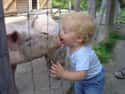 Baby's First Trip to the Petting Zoo on Random Adorable Photos of Kid Firsts