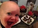 Baby's First Visit to the Dessert Table on Random Adorable Photos of Kid Firsts