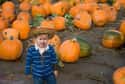 This Poor Guy's First Experience with Pumpkin Overload on Random Adorable Photos of Kid Firsts