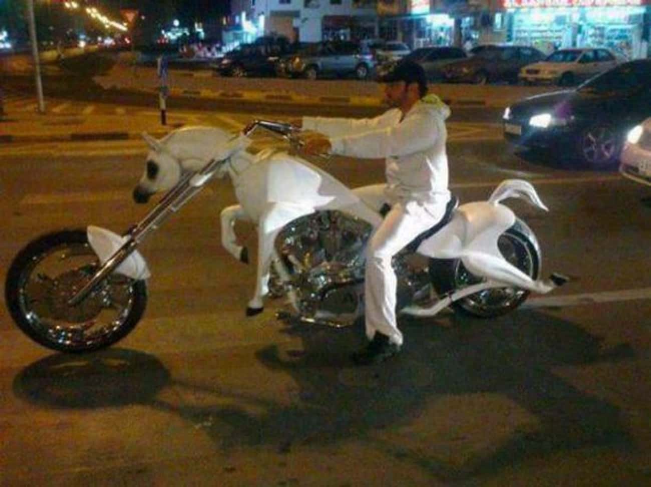 Just Your Typical Horse-cycle