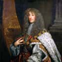James II Of Scotland Was Blown Up By His Own Cannon on Random Weirdly Gruesome Ancient Deaths That Wouldn't Happen Today