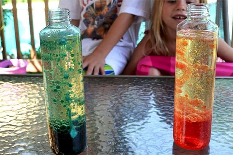 Purple Ladybug Cute School Water Bottles for Girls Age 6-8 - Cool