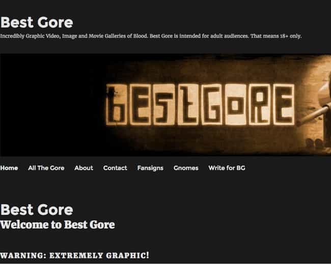 gore websites 2019