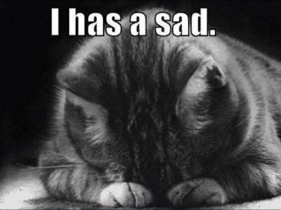 Random Cats Who Are So Very Sad
