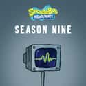 SpongeBob SquarePants - Season 9 on Random Best Seasons of 'SpongeBob SquarePants'
