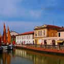 Cesenatico on Random Best Small Cities to Visit in Italy