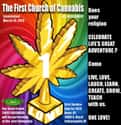 The First Church Of Cannabis on Random Religions That ENCOURAGE People to Use Drugs