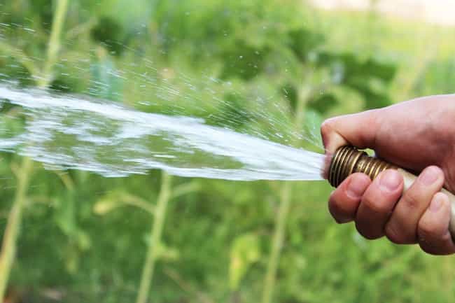 Man gives wife enema with garden hose