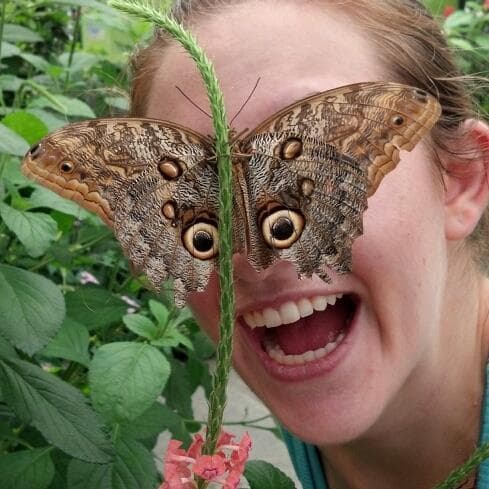 Бабочка лицо фото Butterfly Effect Behance