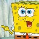 Most of the Series Is Happening in Reverse on Random Crazy Good Fan Theories About SpongeBob SquarePants