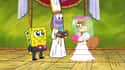 SpongeBob and Sandy Are Actually Married on Random Crazy Good Fan Theories About SpongeBob SquarePants