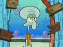 Squidward Is Suffering from Psychosis on Random Crazy Good Fan Theories About SpongeBob SquarePants