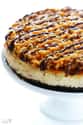 This Samoa Cheescake for Fans of the Best Cookie Ever on Random Delicious Dessert Porn That Will Make Your Mouth Wat