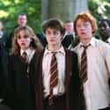 Hermione, Harry, And Ron Chose To Be In Gryffindor on Random Craziest Harry Potter Fan Theories That Could Be True