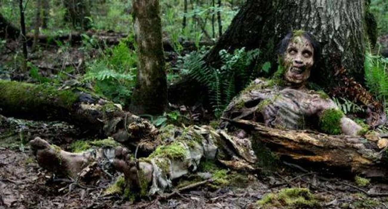 Eventually All of the Walkers Will Decompose, Man Will Still Be His Own Worst Enemy