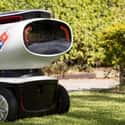 Pizza Delivery Person on Random Jobs Robots Are Most Likely To Take Over In Futu