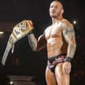 Randy Orton on Random Athletes Who Suffered the Most Bizarre Off-Field Injuries