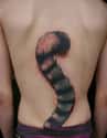 Vestigial Tail on Random Tattoos That Make Hilarious Jokes