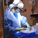 Ohio Nurse Throws Out Kidney Transplant on Random Nurses Who Behaved Badly