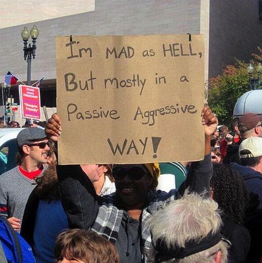 22 Silly Signs from Political Rallies