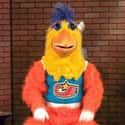 The San Diego Chicken Has More Than 40 Years of Experience on Random Crazy Stories About People Inside Sports Mascots