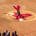 Chicago Bulls Mascot Arrested for Dealing Drugs on Random Crazy Stories About People Inside Sports Mascots