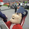 Pat Patriot Popped for Patronizing Prostitute on Random Crazy Stories About People Inside Sports Mascots