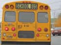 School Buses Are Very, Very Visible on Random Reasons Why School Buses Don't Have Seat Belts