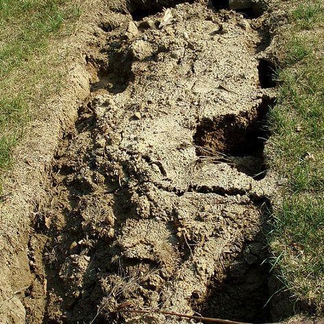 People Who Were Buried Alive...and Somehow Survived