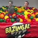 Bazinga! on Random Amazing Nerdy Cakes That Are Too Geeky to Eat