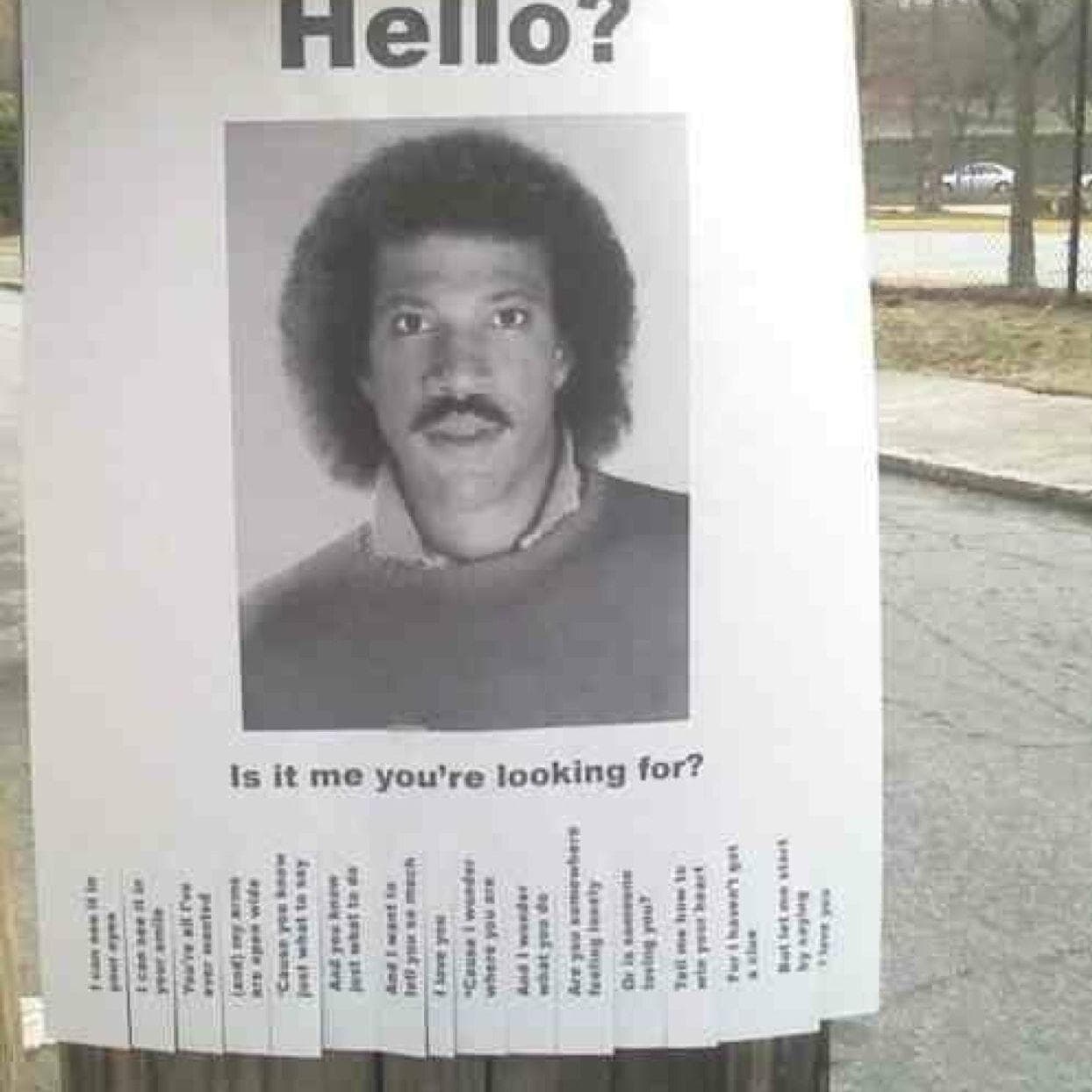 25 Funny Lost and Found Signs That Are on Point