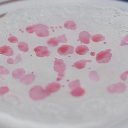 Reciting the Ten Plagues