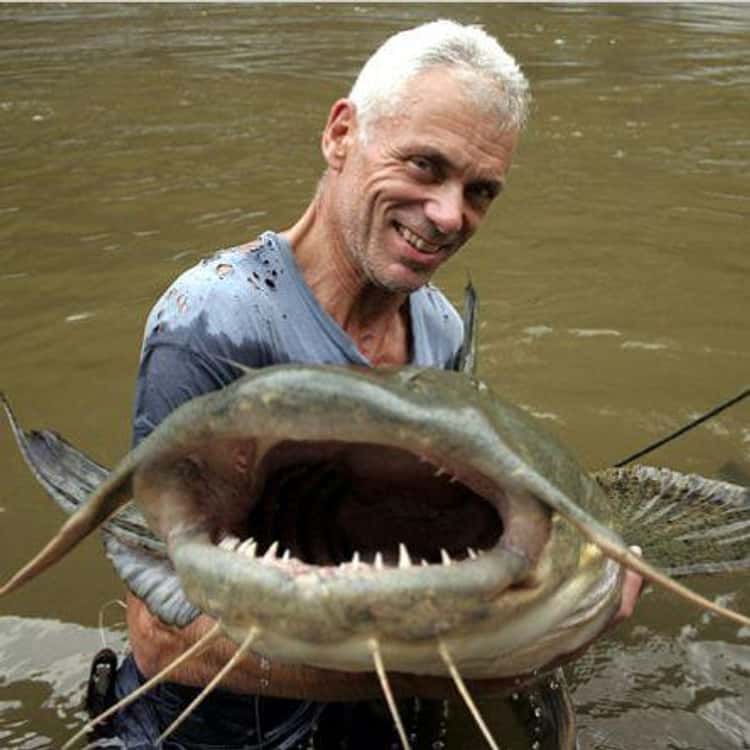 giant catfish river monsters
