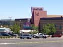 Woman Who Escaped Mall Shooting Dies In Aurora Massacre on Random People Who Escaped Death Then Died Immediately After