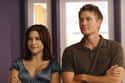 Chad Michael Murray and Sophia Bush - One Tree Hill on Random Actors Whose Divorces & Breakups Affected Storylines
