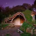 This Low-Impact Woodland House in Wales, UK Is Rocking the Shire Look on Random Weird and Wacky Building Shapes Around the World