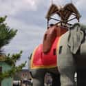 Lucy the Lovely Elephant Calls Margate, New Jersey Her Home on Random Weird and Wacky Building Shapes Around the World