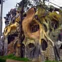 This Killer Tree-Inspired House in Vietnam Is Known to Locals as "The Crazy House" on Random Weird and Wacky Building Shapes Around the World