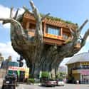 Grab Lunch in a Tree House at the Naha Harbor Diner in Okinawa, Japan on Random Weird and Wacky Building Shapes Around the World