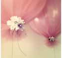 These Balloons Look Like They Need a Haircut on Random Most Cringeworthy Wedding Decoration Ideas From Pinterest