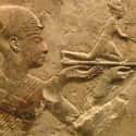 The Pharaohs Used Wine to Seem Like Crazy Powerful Gods on Random Events that Wine Changed World and Altered History
